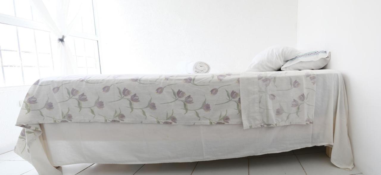 Habitacion, Jacuzzi Rooftop, Gran Wi-Fi カンクン エクステリア 写真